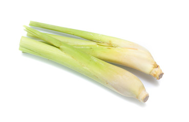 Lemon grass on white background