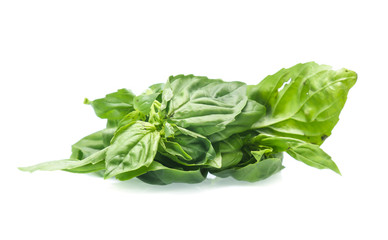 Close up green basil herb leaves isolated on white background.