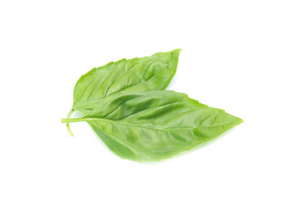 Close up green basil herb leaves isolated on white background.