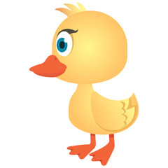 Illustration side view of the cute duck