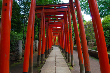 Fototapeta na wymiar 日本の梅雨の神社の風景