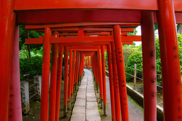 日本の梅雨の神社の風景