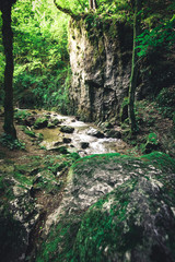 Johannesbachklamm in lower austria in summer