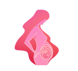 Pregnancy, woman and child, big belly. Isolated Vector Illustration