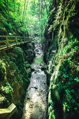 Johannesbachklamm in lower austria in summer