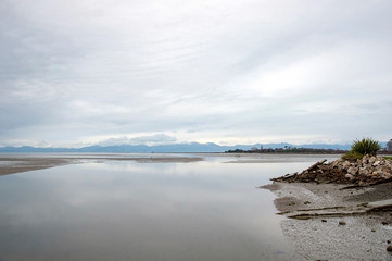 Outer Island,South Island New Zealand