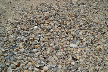 pebbles on the beach
