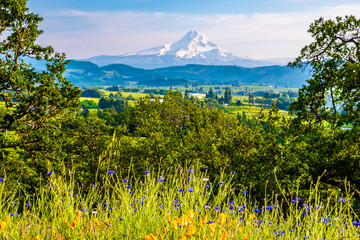 Fototapeta premium Beautiful Clear Skies Over Mount Hood in Oregon