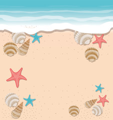 Fototapeta na wymiar cute seashells on the sea in white background