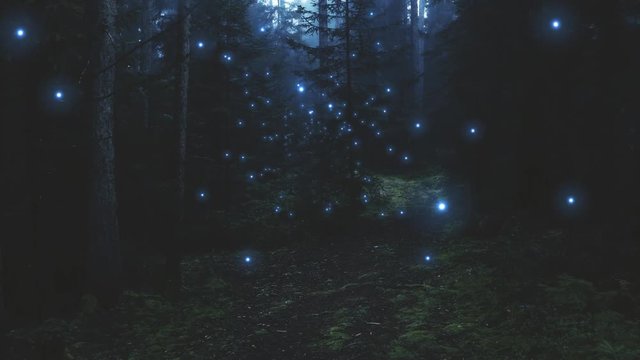 Blue glowy fireflies flying in dark mossy forest landscape.