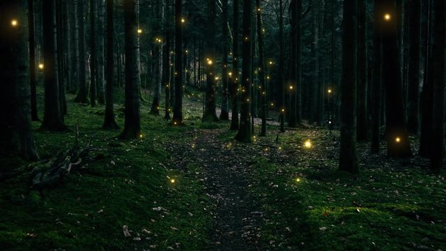 Shiny fireflies in mysterious mossy dark green forest landscape.