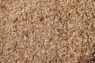 A pile of small sawdust and wood shavings. Abstract textured background for wallpaper in the form...