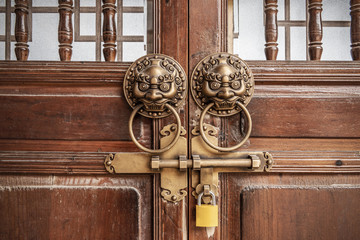 Bronze lion door knocker isolated on white background 
