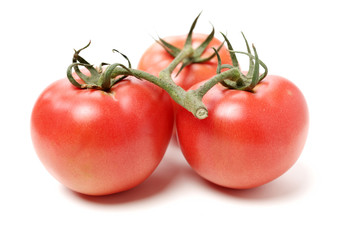 fresh tomato isolated on white background