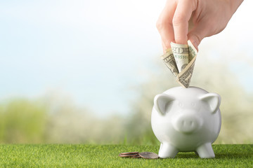 A piggy bank on a grass background and a female hand inserts US dollars. The concept of saving...