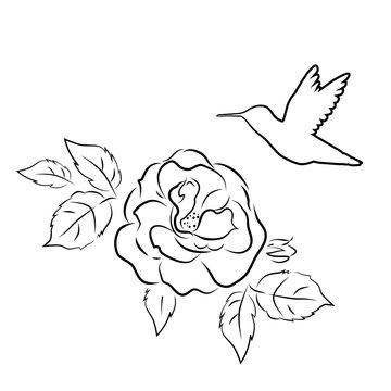 Illustration of a flower and a Hummingbird. Logo, postcard, tattoo