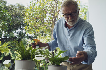 senior man happiness take care of flower at balcony near garden at nursing home for retirement