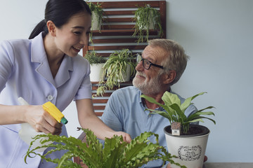 Obraz premium senior man happiness and nurse, take care of flower at balcony near garden at nursing home together