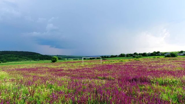 Flying over an abandoned football field overgrown with beautiful purple flowers and thick grass at an angle as a ball though gate