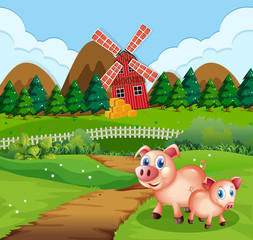 Pig at farmland scene