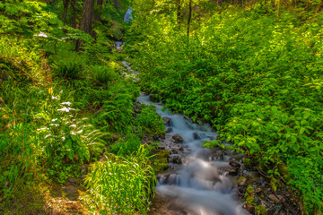 Beautiful Morning Hike to Wahkeena Falls on Columbia Gorge in Portland, Oregon