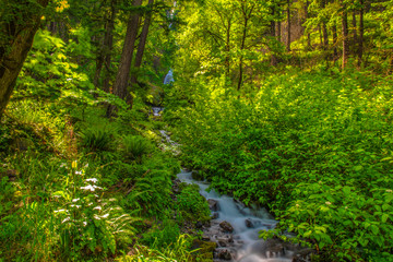 Beautiful Morning Hike to Wahkeena Falls on Columbia Gorge in Portland, Oregon