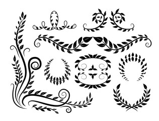 Fototapeta premium Set with abstract graphic botanic elements with branches and leaves.