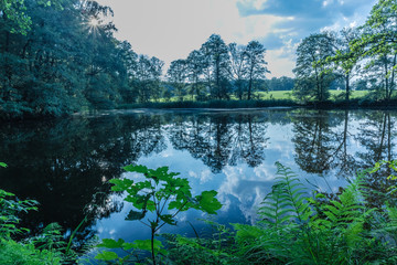 Fototapete bei efototapeten.de bestellen   