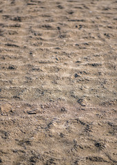 Defocus abstract background sand. Sandy beach on tropical resort