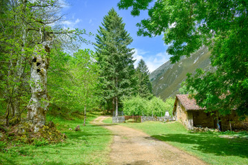 Sunny day in the Forest. Mountain Landscape in Cares Trekking Route, Asturias