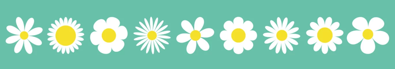Foto op Plexiglas Camomile set line. White daisy chamomile icon. Cute round flower plant collection. Love card symbol. Growing concept. Isolated. Green background. Flat design. © worldofvector