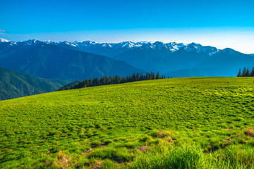Beautiful Clear Skies Over the Mountain in Olympic National Park, Washington