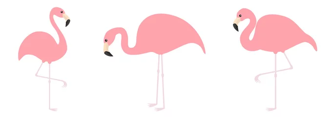 Foto auf Acrylglas Flamingo Pink flamingo icon set line. Three exotic tropical bird. Zoo animal collection. Cute cartoon character. One leg. Looking on the ground. Decoration element. Flat design. White background.