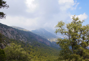 Mountain southern summer landscape. View of the green hills and cliffs.