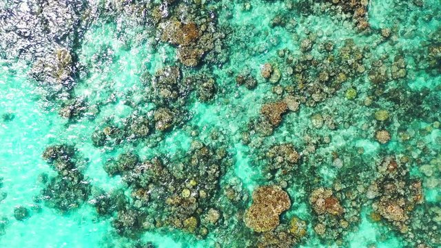 Aerial overhead view. Looking down on some rock in turquoise blue water of the Caribbean Sea. Static, wide angle.