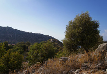 Turkish landscape view of green hills and bushes.