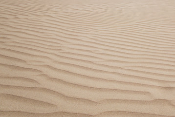 Desert top view. Sand dunes