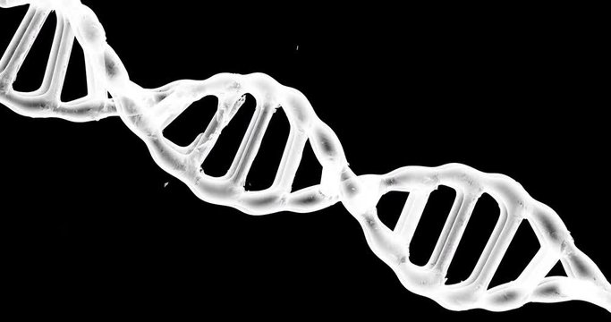 Spining DNA Molecule. With Alpha Сhannel in 4K ProRes.