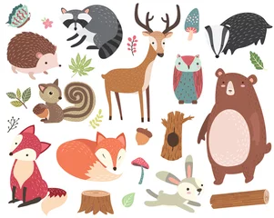 Stickers pour porte Animaux de la forêt Ensemble de collections d& 39 animaux de la forêt mignon