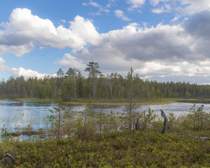 Lapland landscape.Calm river in summer.