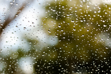 Rain drops on the glass