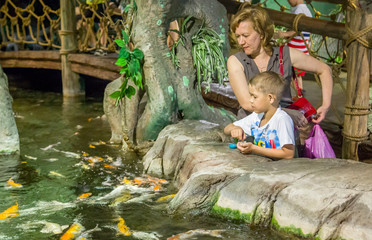 mom and son feed decorative fish in a pond