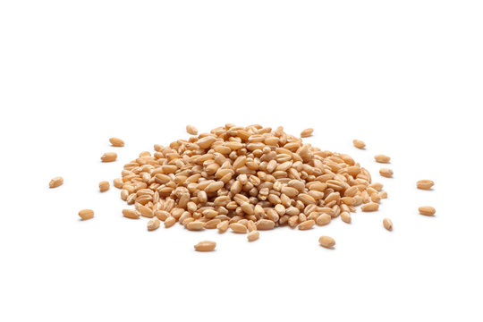 Pile of wheat grains isolated on white background.