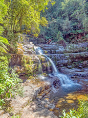 Liffey Falls in Tasmania