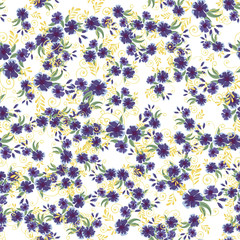 Vintage seamless pattern with field small blue flowers on white background.