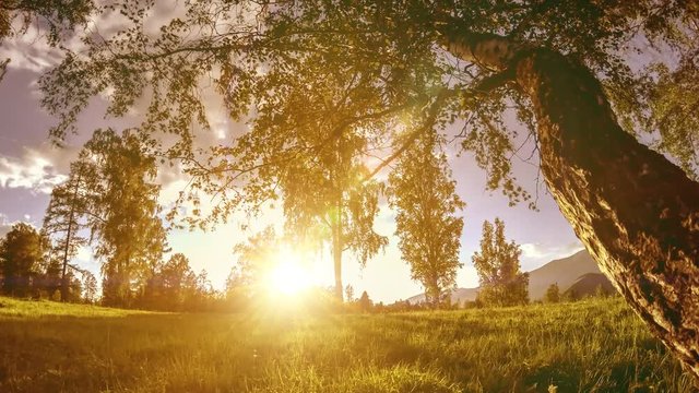 Mountain meadow time-lapse at the summer or autumn time. Wild nature and rural field. Motorised slider dolly movement.