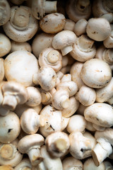 background of fresh whole mushrooms, food closeup