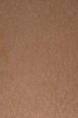 Texture of wood, wooden background. wooden texture wallpaper