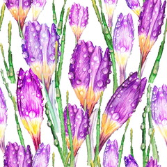 Lilac crocuses after the rain, a fertile topic for the artist.