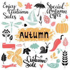 Fall, autumn sale design elements set